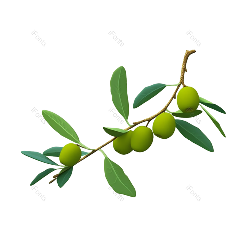 叶子图片,芒种元素,树叶PNG,绿色免抠素材